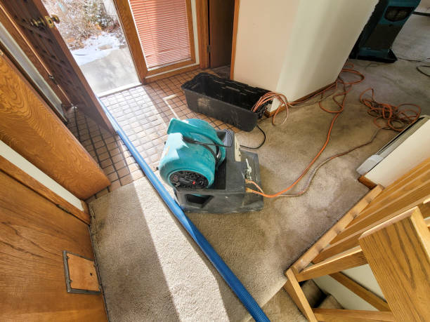 Best Carpet water damage restoration  in Alma, MI
