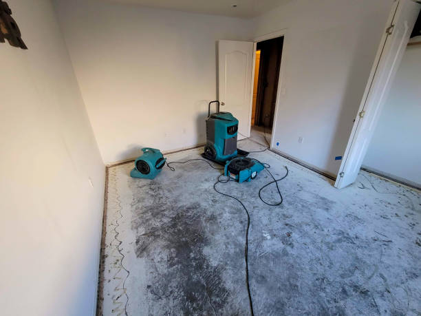 Reliable Alma, MI Water damage restoration Solutions