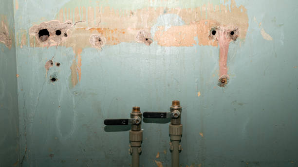 Best Fire Damage Restoration  in Alma, MI