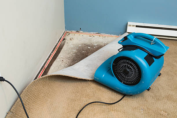 Water damage restoration process in Alma, MI